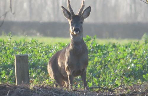 The Cider House at Stathe Farm - Foto 46