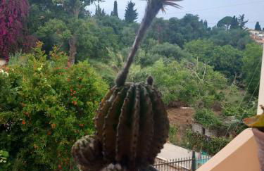 Fox's Sunshine - Foto 38