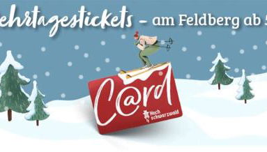 Ferienwohnung Passhöhe - Familien- Wander- und Skiurlaub - Hochschwarzwaldcard - Haus Wiesenquelle - Foto 2