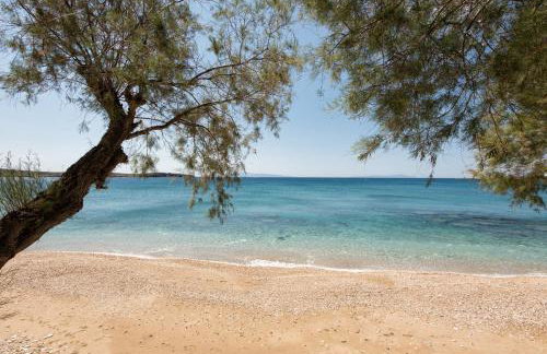 Apartments Tarsa - Photo 13