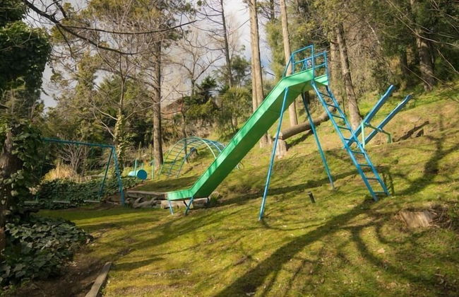 Pailahue Lodge & Cabañas - Photo 73