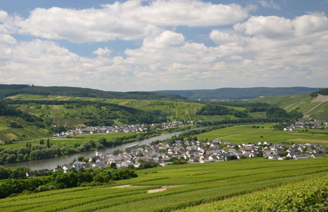 Riesling Apartment on the Moselle Terrace - Photo 5