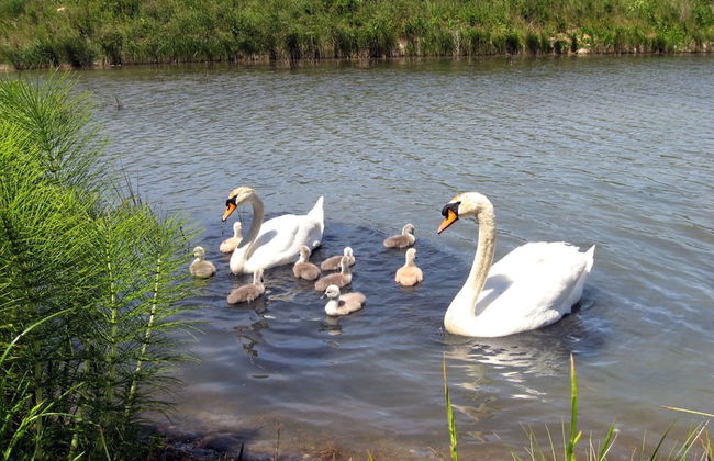 Apartment in Isla, Cantabria 102760 by MO Rentals - Foto 16