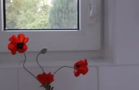 Ferienapartment MOHNBLUME - Foto 22