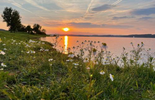 Kastanienhof Selz - Foto 53