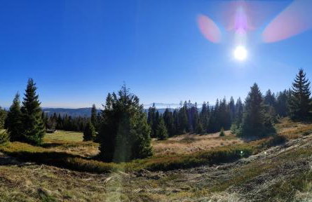 BliżejGorców - Foto 38