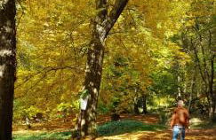 Villa Charlotte - Foto 50