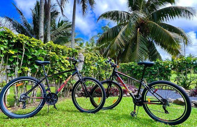 Rarotonga Daydreamer Escape - Foto 48