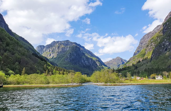 Ørviksnes - Photo 28