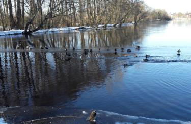 Ferienwohnung Zur Sonne - Foto 15