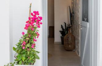 Muca Houses - Foto 66