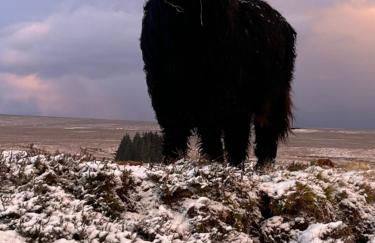 Traditional 2 bed croft - Foto 26