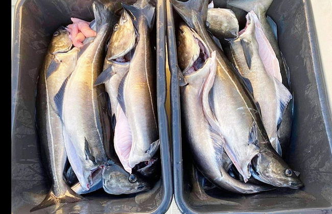 9 Person Holiday Home in Fjortoft - Foto 40