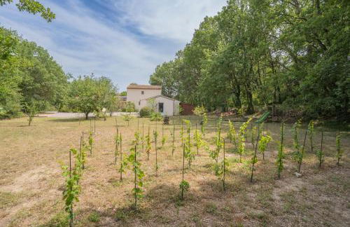 Maison des lavandes - Foto 54