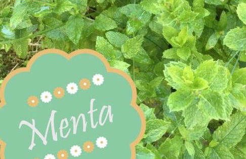 Villetta "Il Grillo" - Foto 6