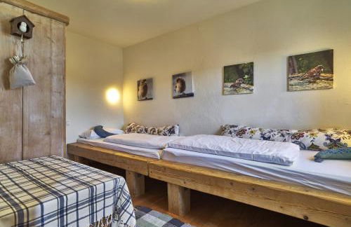 Bio-Ferienhof Höfler - Foto 40