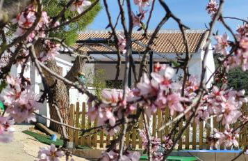 Casa de Andres - Foto 21