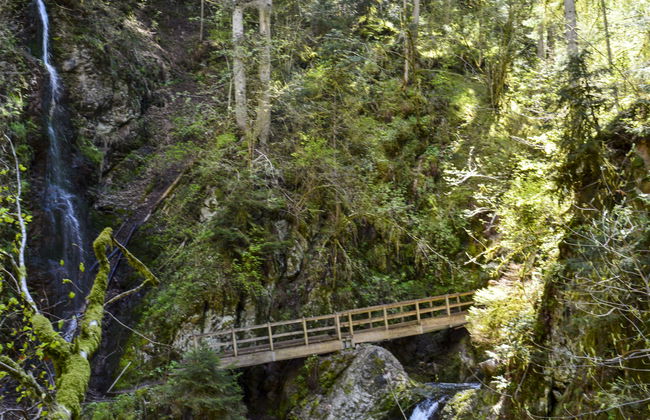 Spatzenparadies - Foto 26