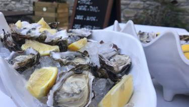 Castelnovo Resort - Foto 2