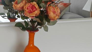 Apartamento casa Chilin - Foto 5