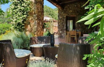 Domaine Codaleone - Foto 27