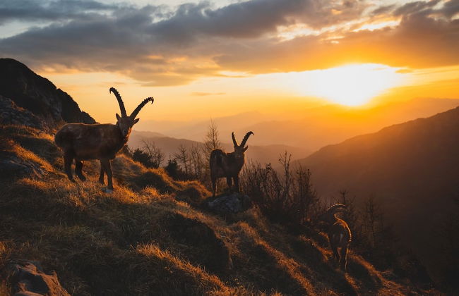 Apartments Am Kirchkogel - Foto 49