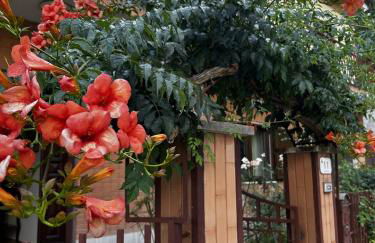 A Casa di Elena - Foto 32