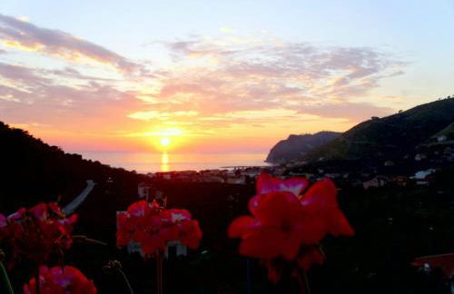 That's Amore Cilento Country House - Foto 14