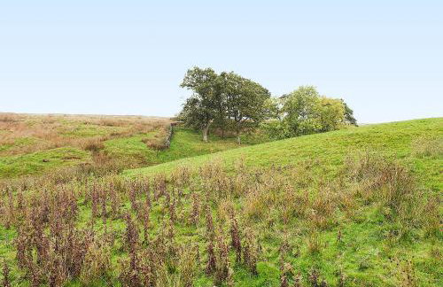The Old Chapel - Photo 10