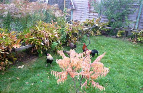 Ferienwohnung Familie Mergner - Foto 11