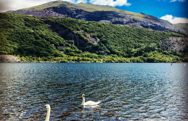 Snowdonia National Park, Caernarfon & Portmeiron Trip - Foto 10