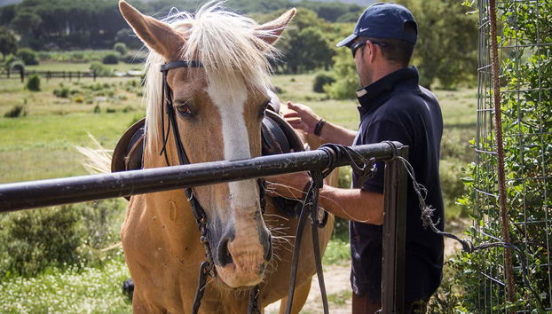 Sierra de Grazalema Horse Riding Tour - Foto 2