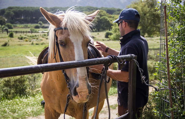 Sierra de Grazalema Horse Riding Tour - Foto 2