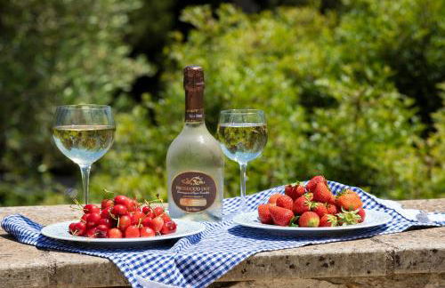 Pajara Rugiada - Foto 33