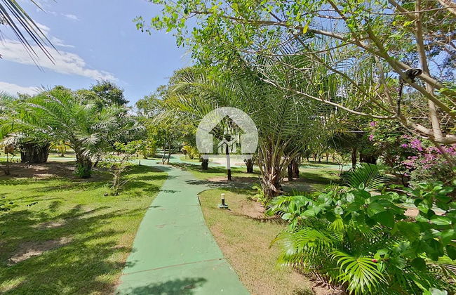 Paraíso na Reserva Imbassaí - Photo 21