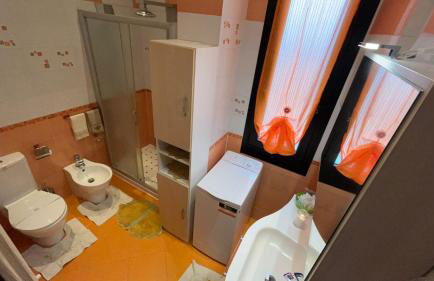 i tulipani - Foto 29