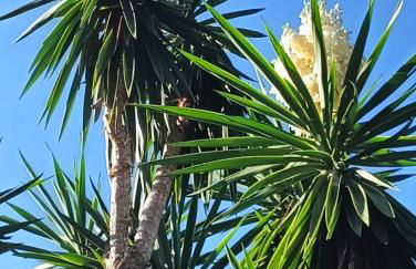 Pergola Suite - Boutique Retreat Loft Barcelona Coast Panoramic Sea View - Foto 28