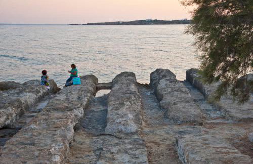 Tarsa Studios - Photo 54