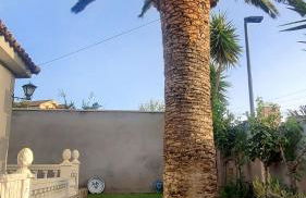 Casita de invitados en Otura - Photo 14