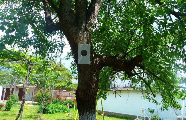 Villa Valley of Roses - Photo 28