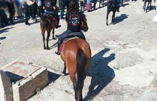 Lily Home_Lefkada ~ Private Country house - Foto 64