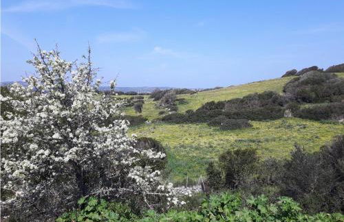 LA PIANA Holiday House - Foto 47