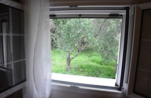 The country house - Foto 20