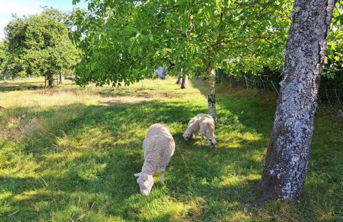 House Near Vosges Park and La Petite Pierre - Foto 41