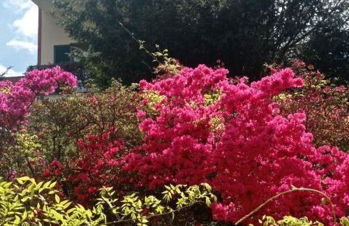 Le Betulle - Foto 48