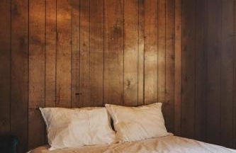 Secluded rustic 3-bedroom cabin on private land - Photo 6