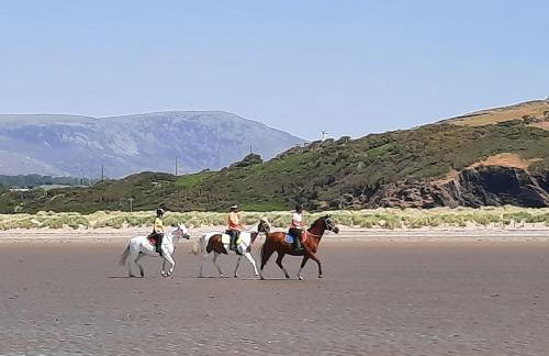 Cosy Quarrymans Cottage in Snowdonia - Foto 47