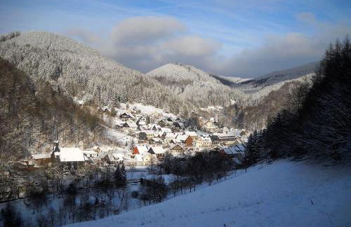 Das-Urlaubszuhause-fuer-Familien-Grossfamilien-Mehrfamilien-und-kleine-Gruppen-bis-zum-12-Personen-mit-vielen-Unterhaltungsmoeglichkeiten-im-Harz - Foto 47