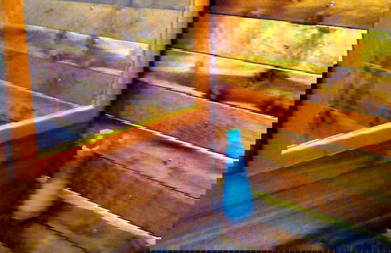 Jungle Like Oasis in San Ignacio - Secluded Cabaña Retreat Close To Mayan Ruins - Foto 5