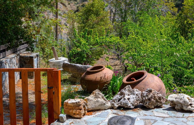 Platres Forest Panorama - Foto 42